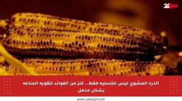الذرة المشوي ليس للتسلية فقط.. كنز من الفوائد لتقوية المناعة بشكل مذهل